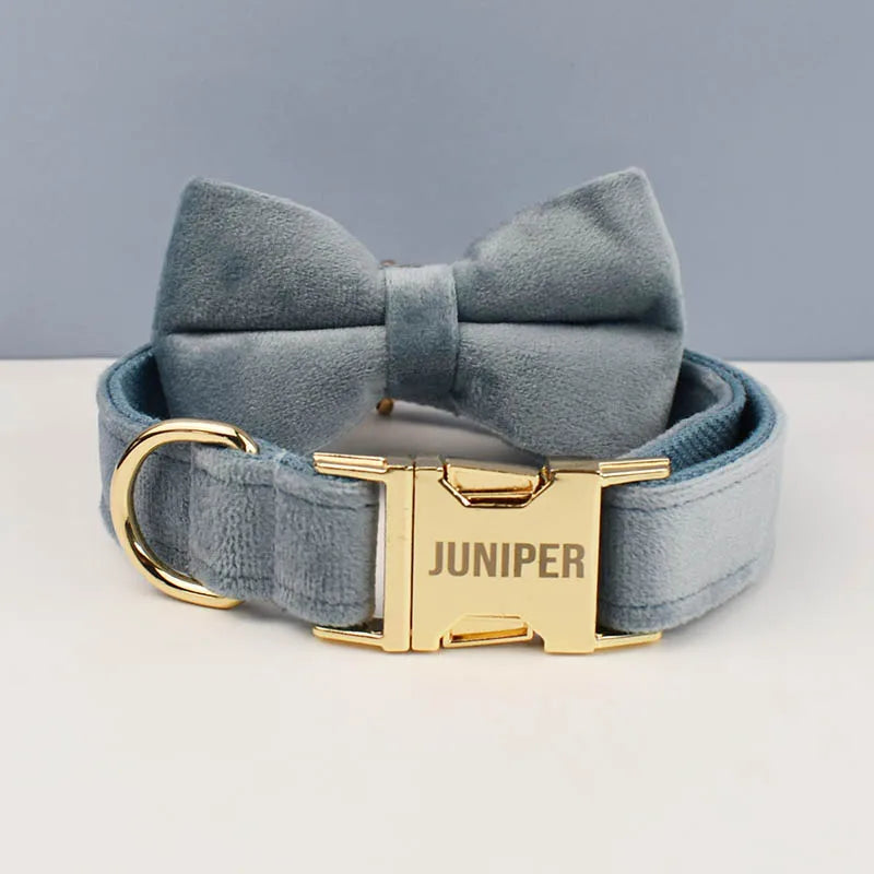 Collier chien velours personnalisable
