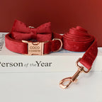 Collier chien personnalisable