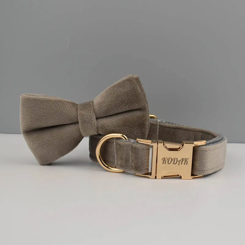 Collier chien velours personnalisé