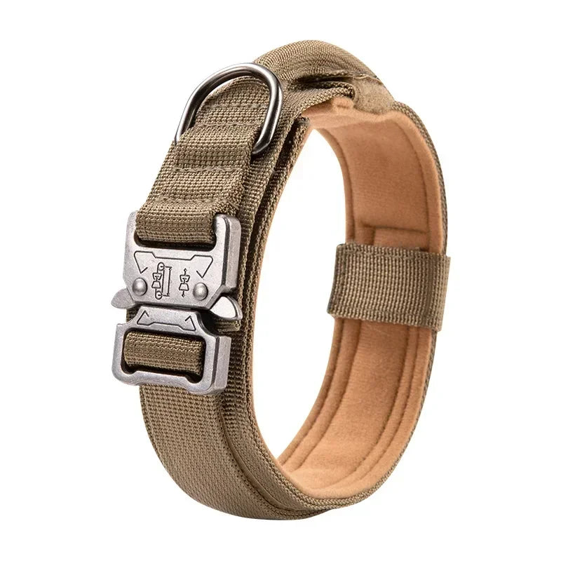 Collier tactique chien sport traction dressage