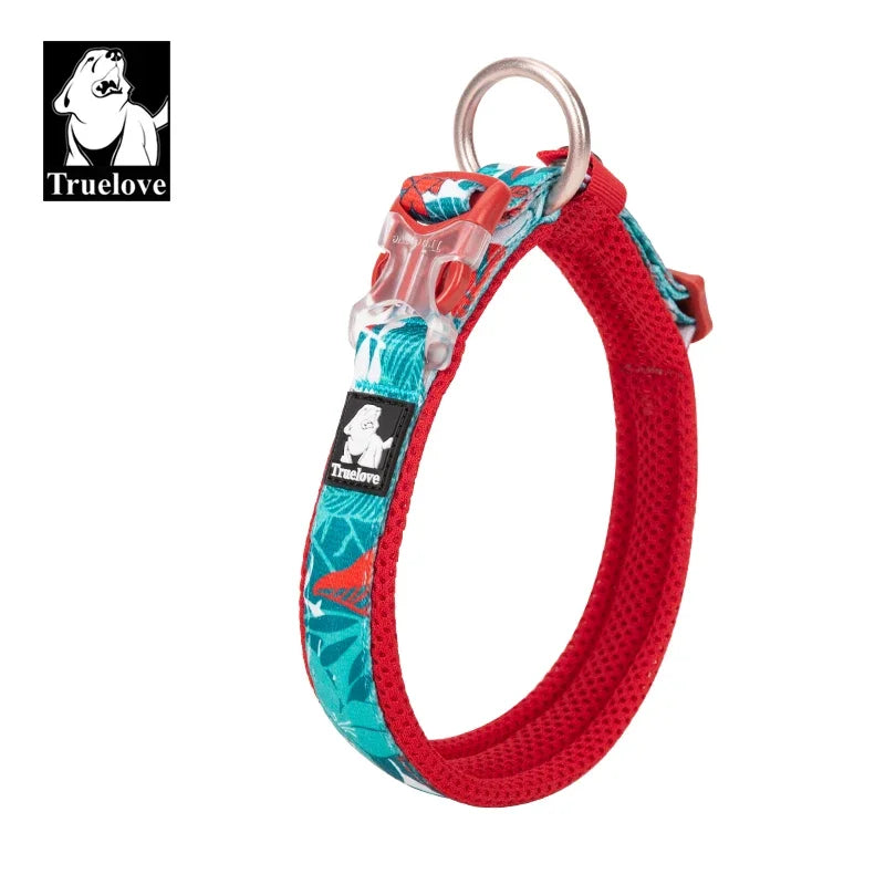 Collier chien