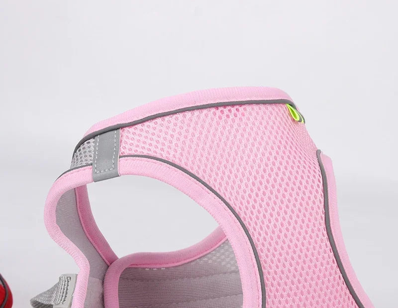 Harnais chiot réglable gilet collier laisse chat chien