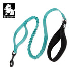 Laisse chien durable