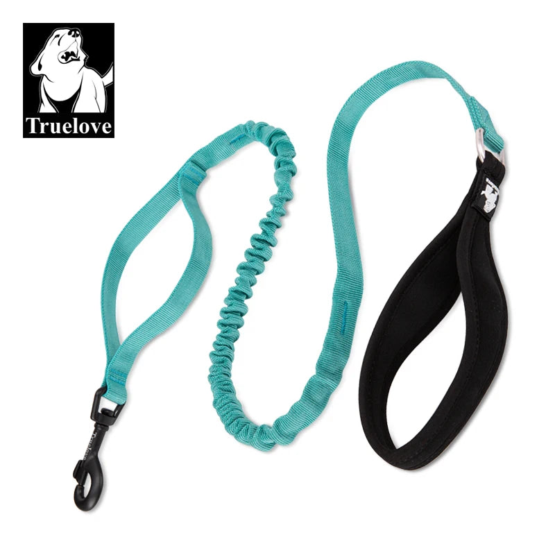 Laisse chien durable