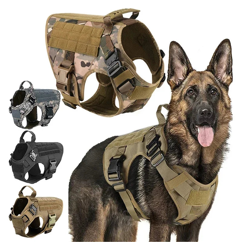 Harnais tactique chien K9 militaire libération rapide
