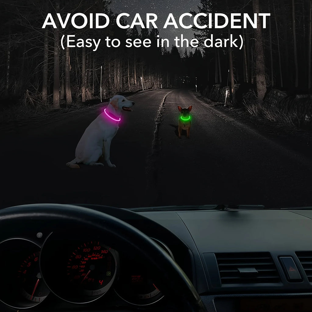 Collier LED chien USB lumineux rechargeable nuit