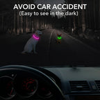 Collier LED chien USB lumineux rechargeable nuit