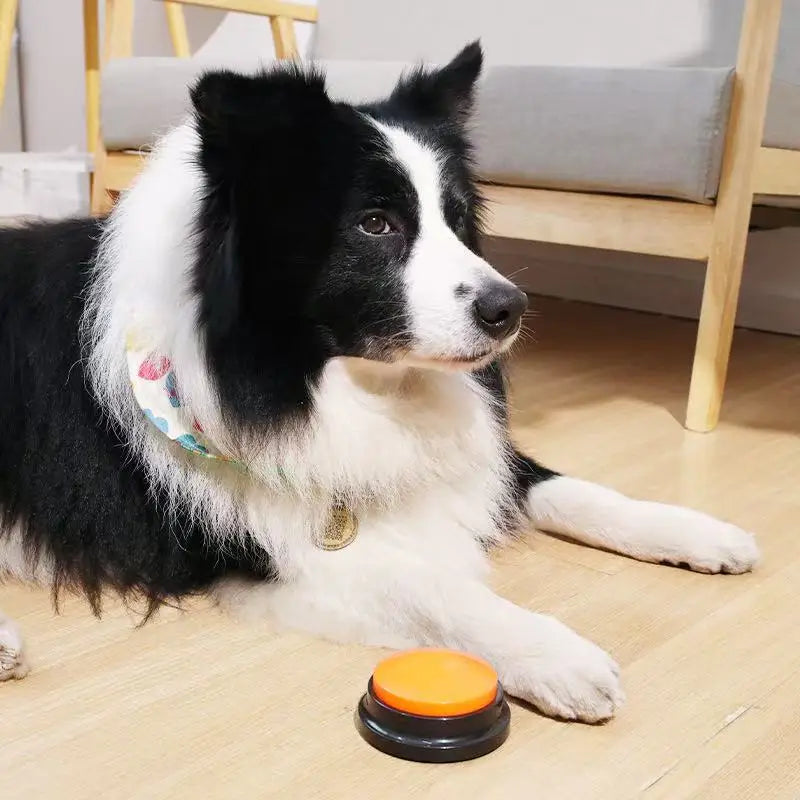 Boutons communication chien enregistrement vocal 30s