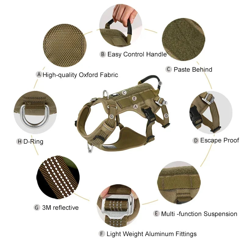 Harnais chien anti-traction