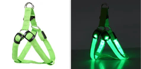 Harnais chien réfléchissant