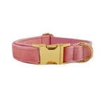 Collier chien velours personnalisé gravé premium