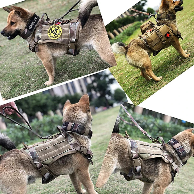 Harnais tactique chien K9 militaire libération rapide
