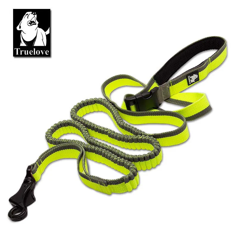Laisse chien durable