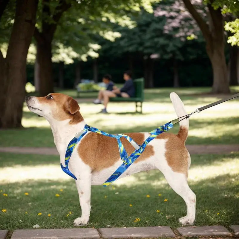 Harnais chien réfléchissant