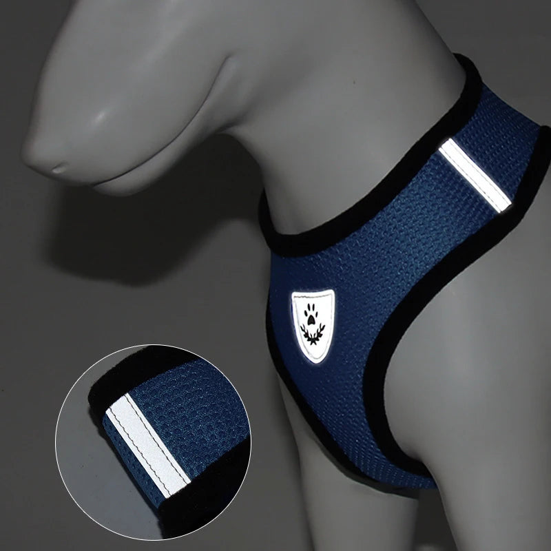 Harnais gilet chat chien maille réglable laisse