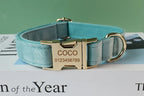 Collier chien velours vert personnalisé premium