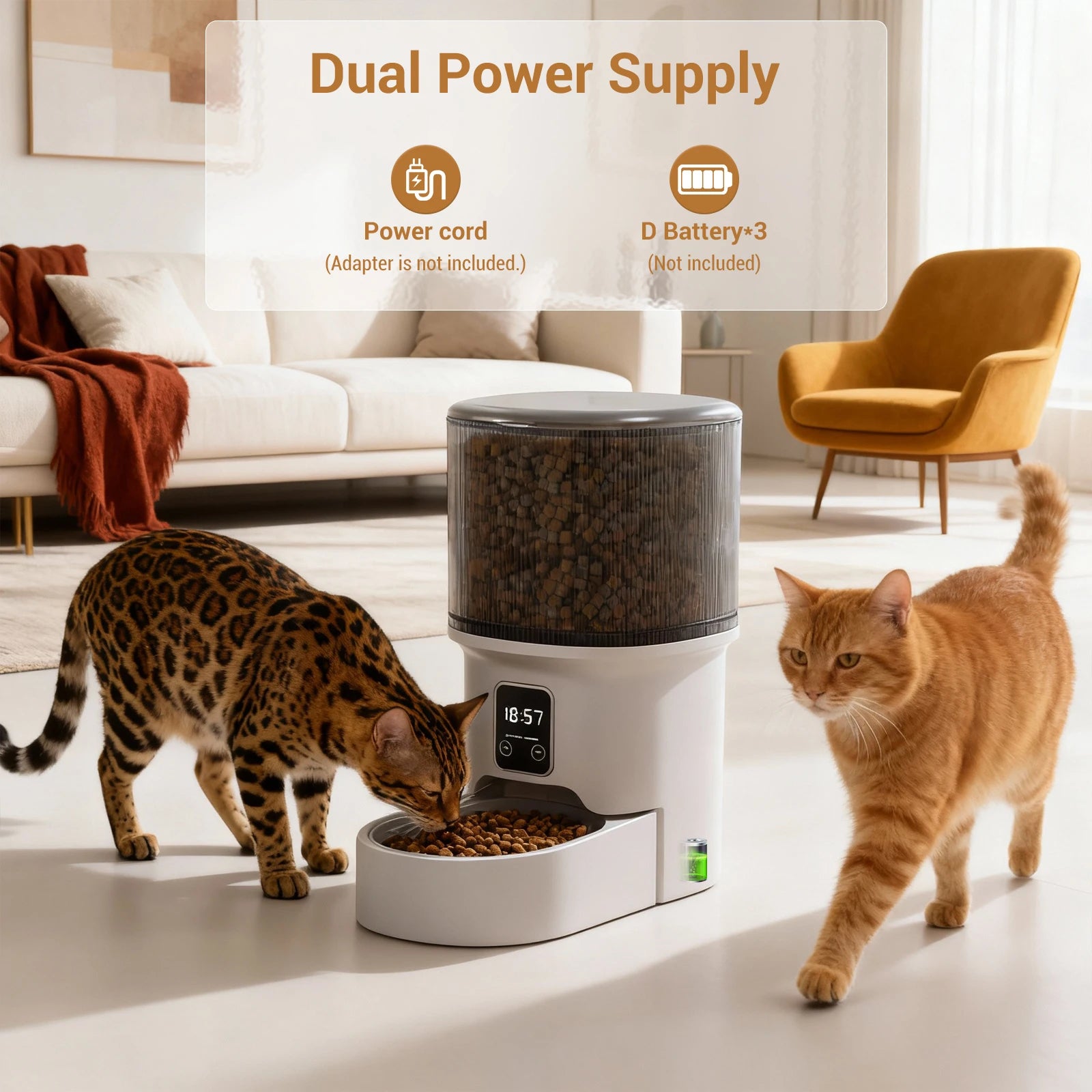 Distributeur automatique 4L chien chat 6 repas