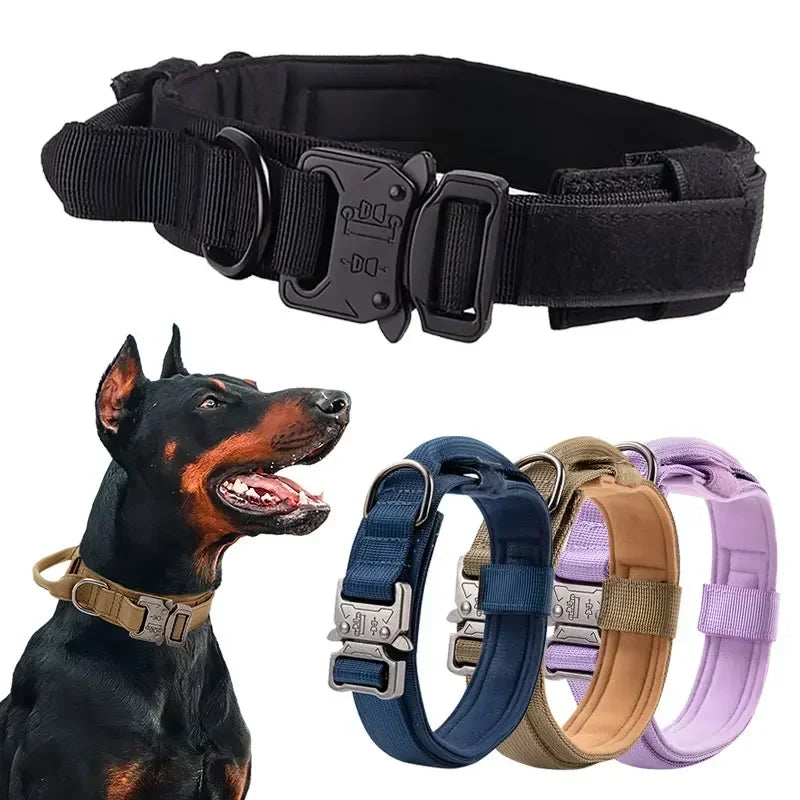 Collier tactique chien sport traction dressage