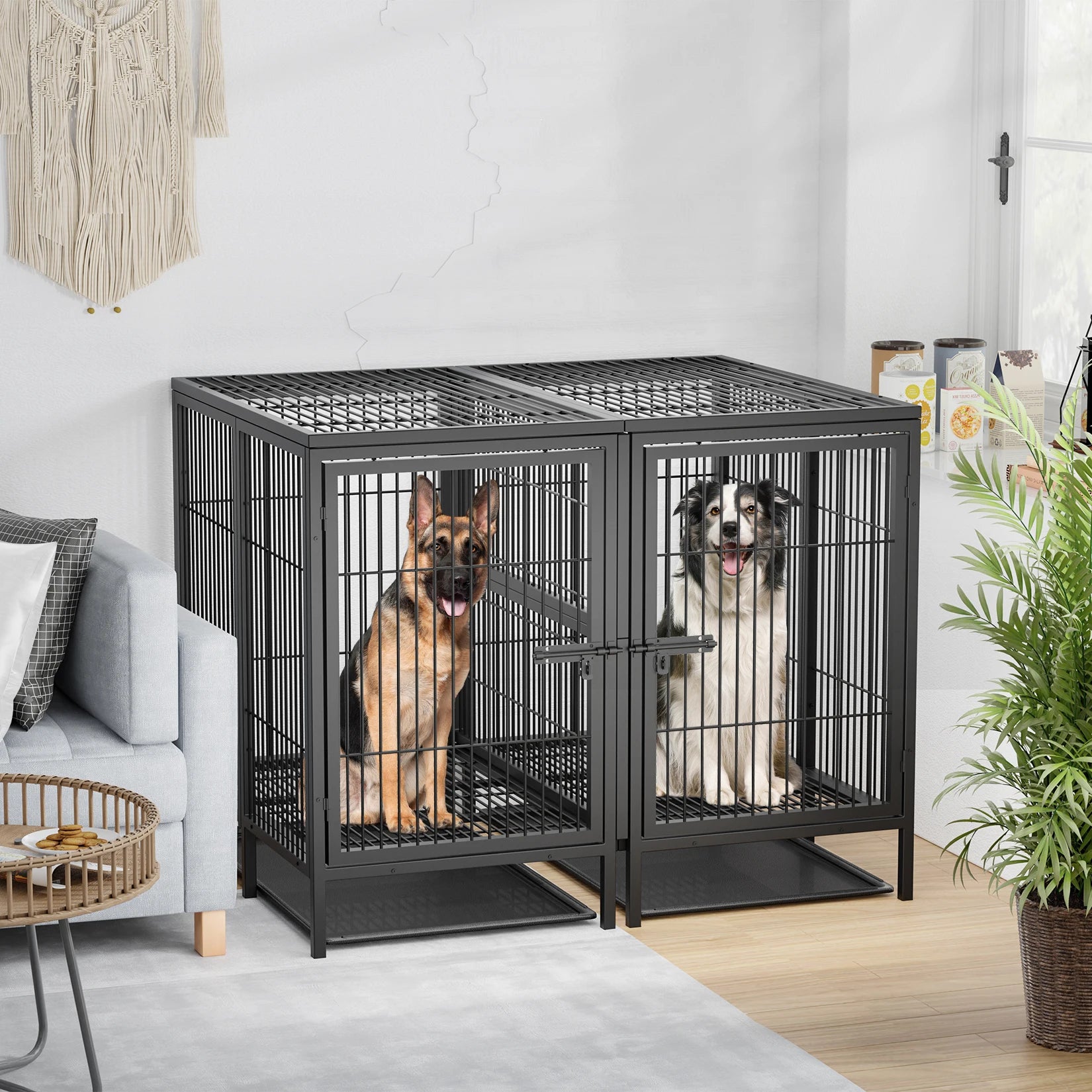 Cage chien métal surélevée XL robuste séparateur