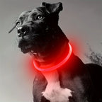 Collier LED chien USB lumineux rechargeable nuit
