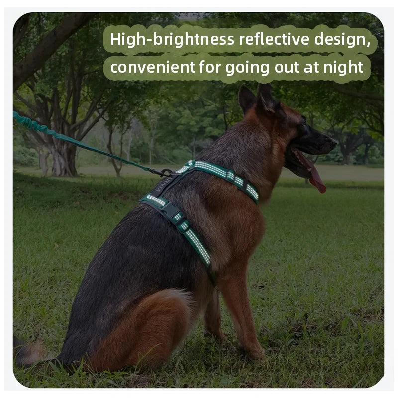 Harnais chien réfléchissant