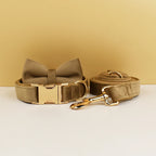 Collier chien velours personnalisé