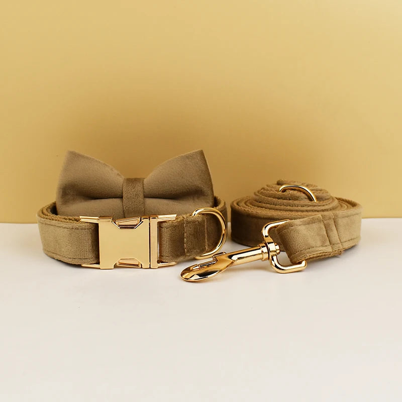 Collier chien velours personnalisé