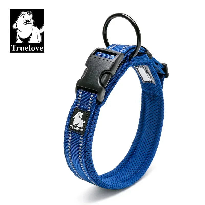Collier chien réfléchissant