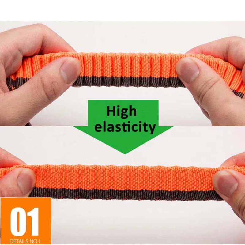 Laisse chien durable