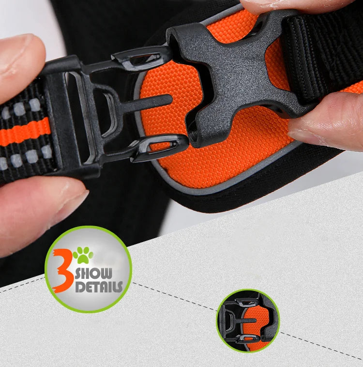 Harnais chien réfléchissant