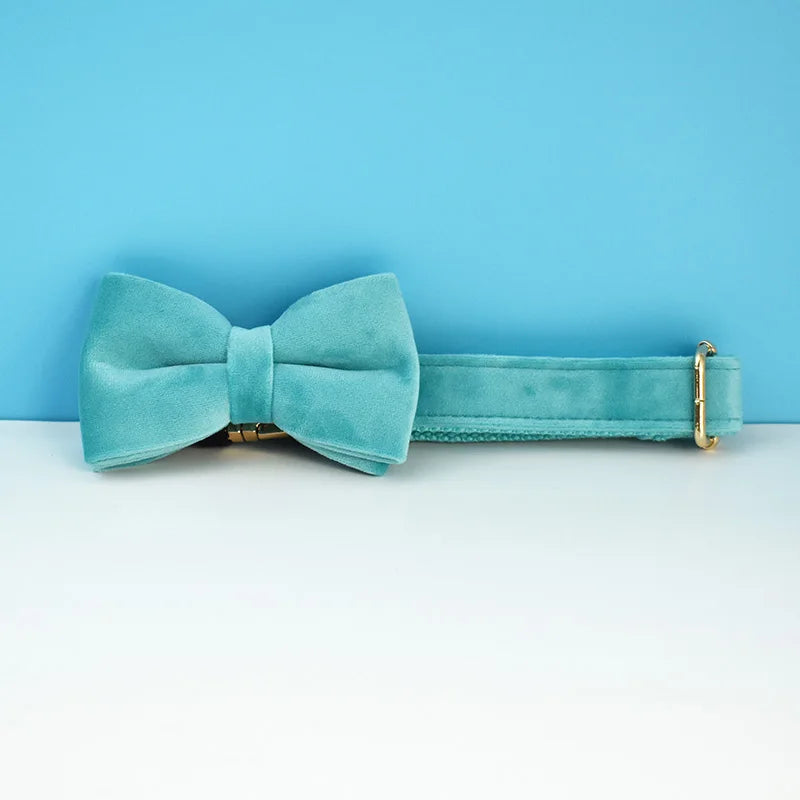 Collier chien velours personnalisable