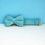 Collier chien velours personnalisable