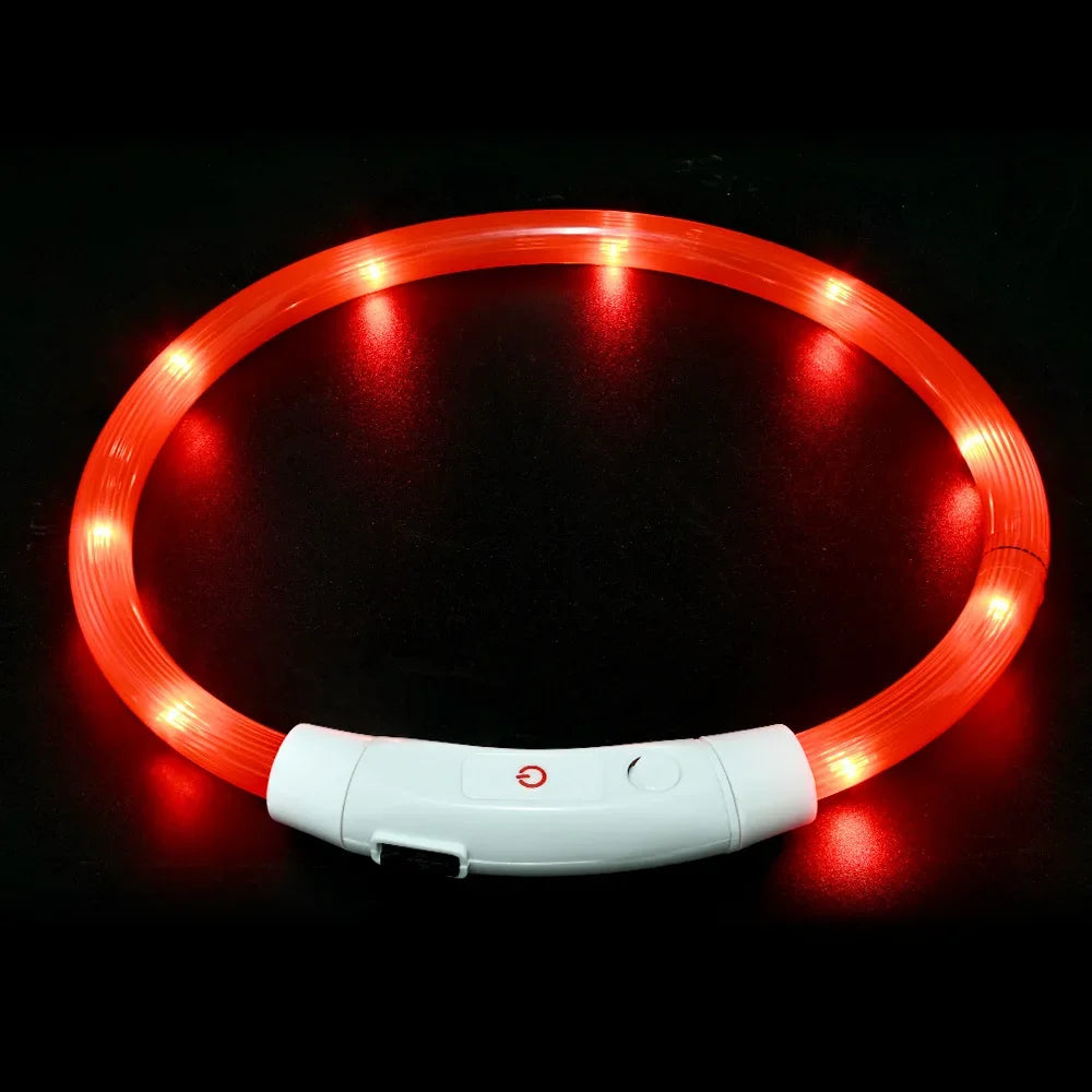Collier LED chien USB lumineux rechargeable nuit