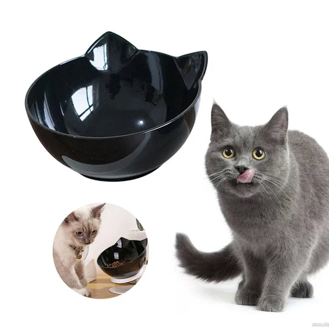 Collier chien durable