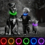 Collier LED chien USB lumineux rechargeable nuit