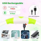 Collier LED chien USB lumineux rechargeable nuit
