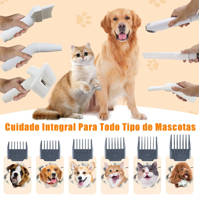 Aspirateur toilettage chien chat tout-en-un souffleur