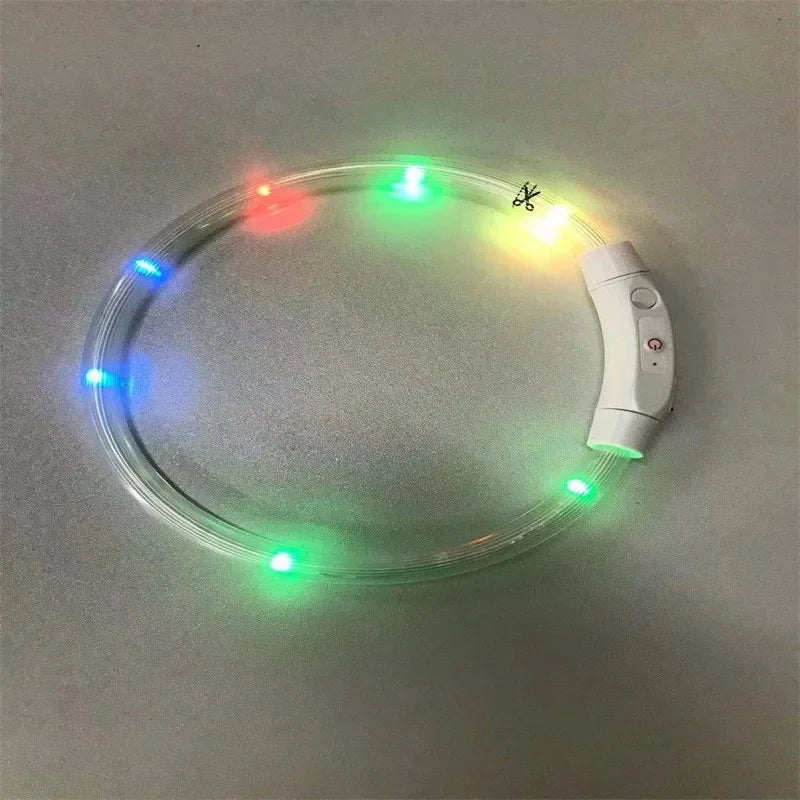 Collier LED chien USB lumineux rechargeable nuit
