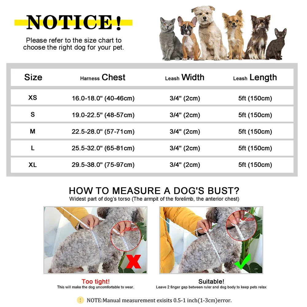 Harnais chien personnalisé gravé anti-traction