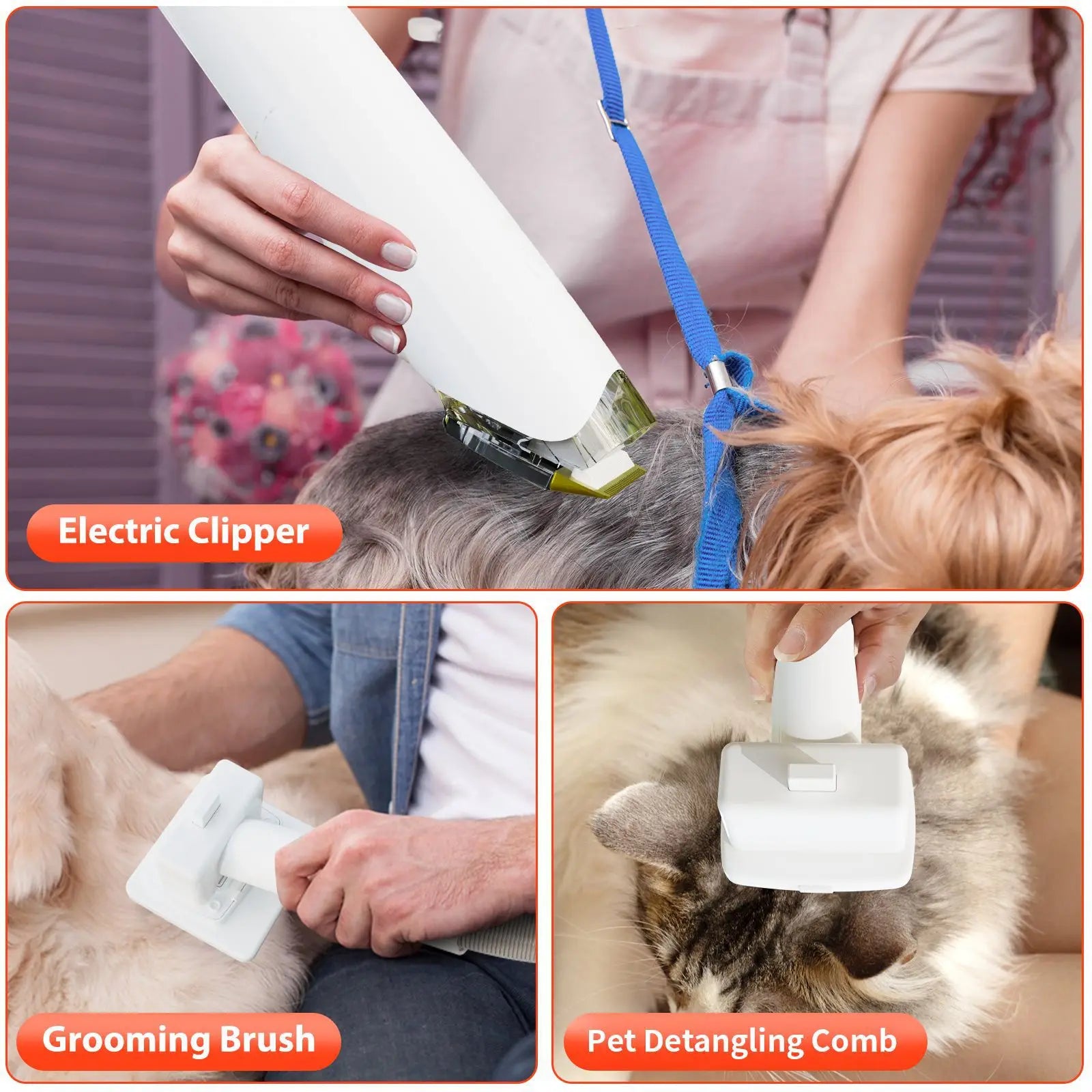 Aspirateur toilettage chien chat tout-en-un souffleur