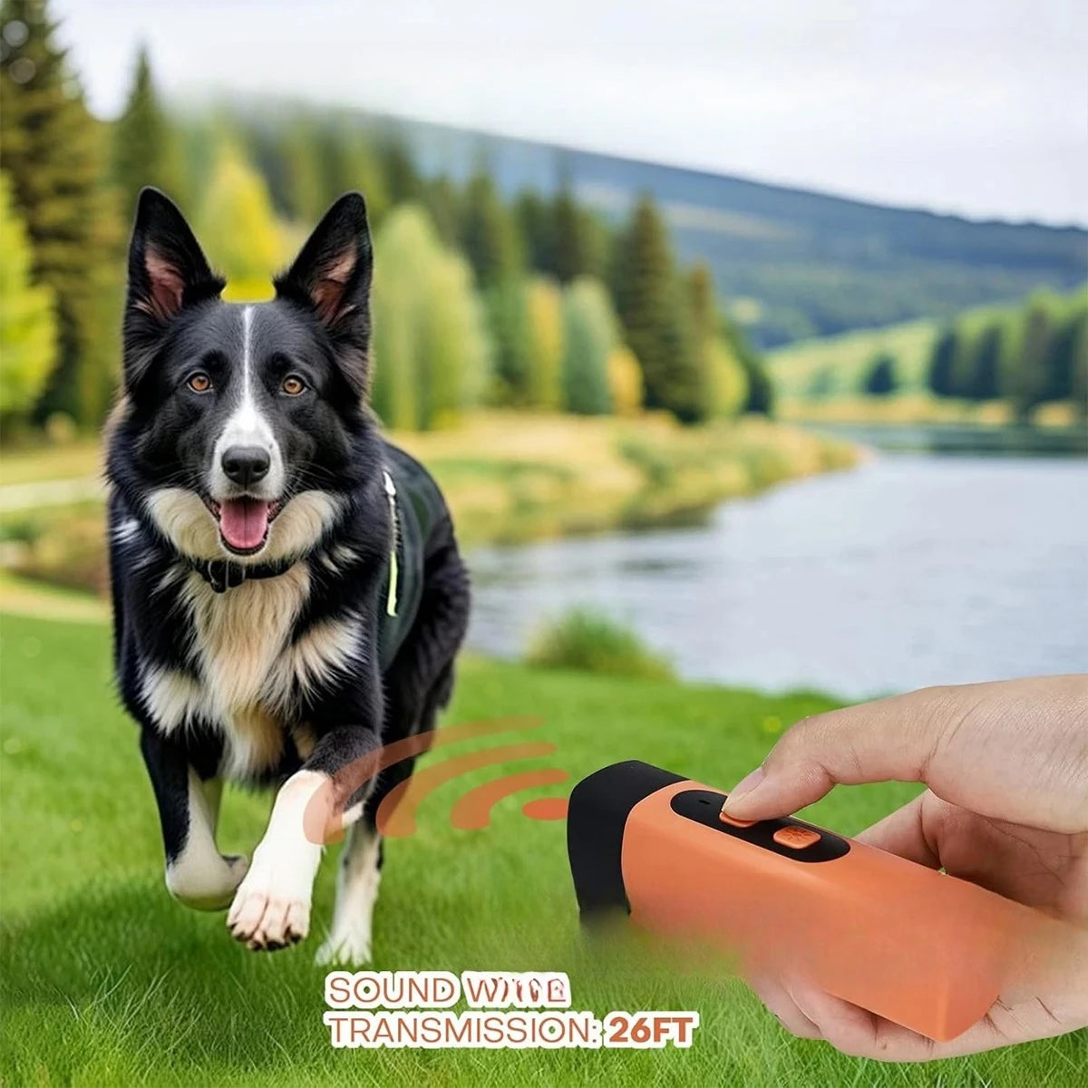 Répulsif chien ultrason anti-aboiement rechargeable LED